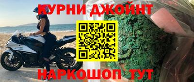 СК Кингисепп