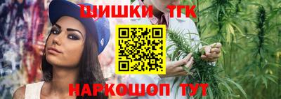 СК Кингисепп