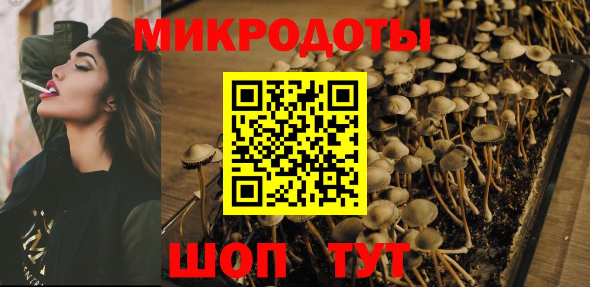 Псилоцибиновые грибы Magic Shrooms Ярославль
