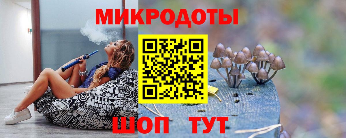 Псилоцибиновые грибы Psilocybine cubensis  Вход с VPN  Ярославль  Галлюциногенные грибы ЛСД 
